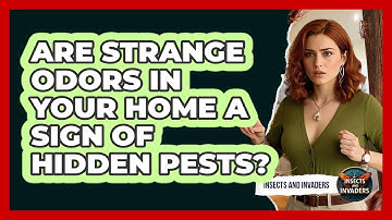 Are Strange Odors In Your Home A Sign Of Hidden Pests? - Insects and Invaders