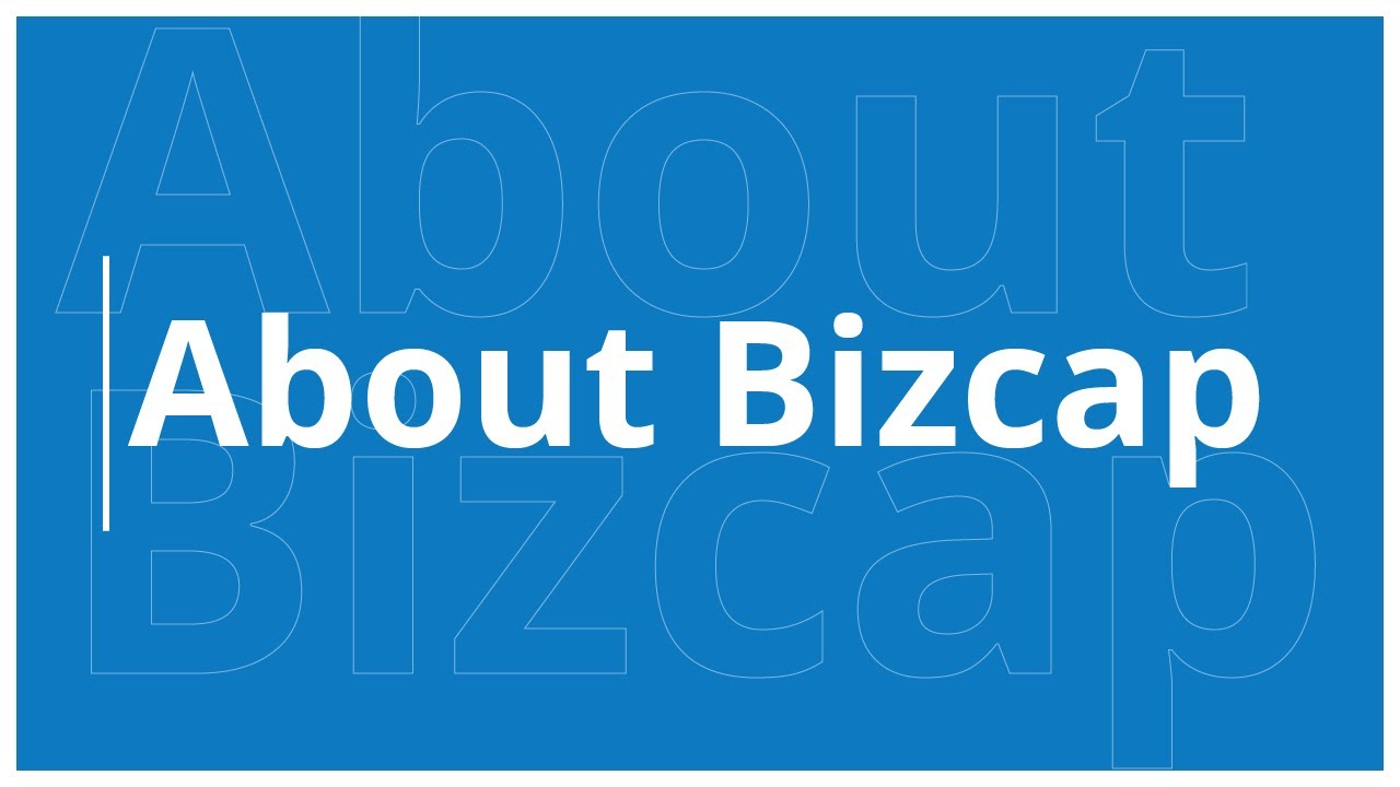 About Bizcap