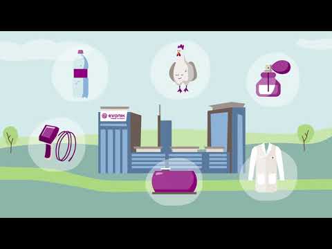 The Many Uses of PERACLEAN® Peracetic Acid | Evonik