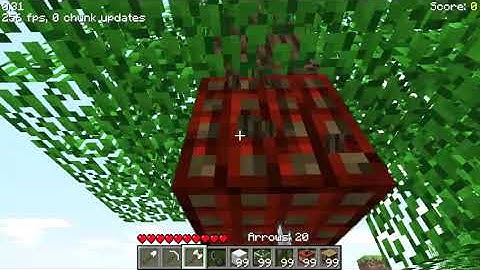 Glitch in Minecraft Indev