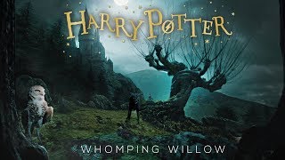 Whomping Willow at Midnight  [ASMR] ⚡ Harry Potter Inspired Ambience