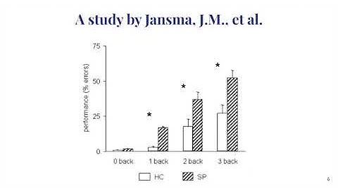 Cognitive Science project video - Modeling Working Memory Deficits in Schizophrenia