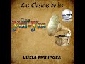 Vuela Mariposa