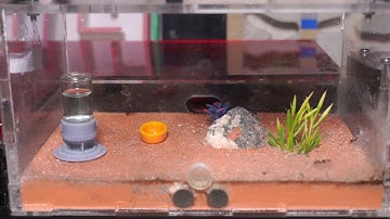 Ant Drift Line: Powder Stripe Guide 🧯