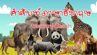 คำศัพท์ภาษาอังกฤษ - ไทย ชุด สัตว์ป่า  | Wild Animal Flash Cards English - Thai