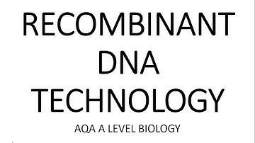 RECOMBINANT DNA TECHNOLOGY - AQA A LEVEL BIOLOGY + EXAM QUESTIONS RUN THROUGH