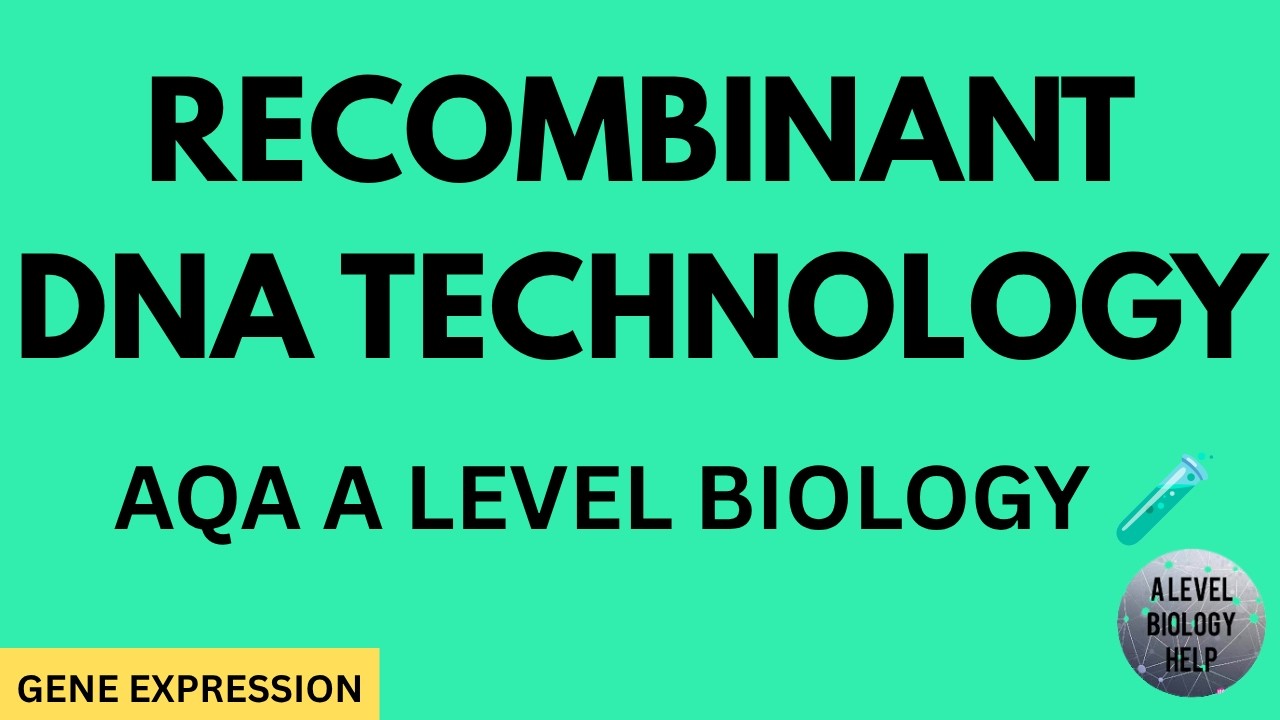 RECOMBINANT DNA TECHNOLOGY - AQA A LEVEL BIOLOGY + EXAM QUESTIONS RUN ...