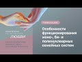 Особенности функционирования моно-, би- и полинуклеарных семейных систем