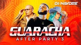 El Incomprendido Farruko Pitbull Karol G Guaracha Mix 2021 After Party 3 By Dj Naydee