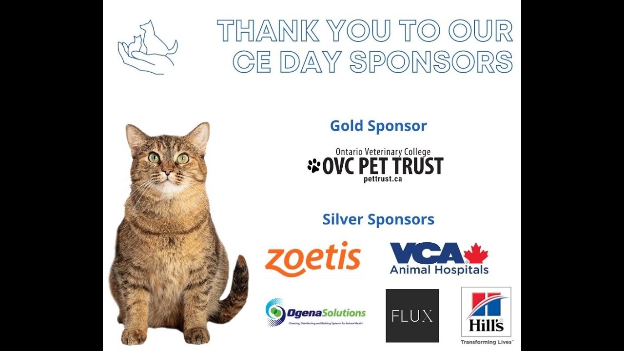 determining-your-medical-capacity-how-to-make-adoption-decisions-for