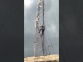 Anil  in Dreamtel tower work