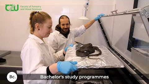 FFWS CZU - a destination for international students and researchers