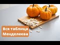 Что произойдет с Вашим телом, если каждый день есть семена тыквы?