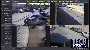 TUTORIAL - How to view live video and save custom views via SMART PSS