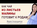 Как подготовить шейку матки к родам при помощи чая из листьев малины?