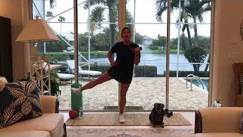 At Home Killer Arm Workout (Low Impact)