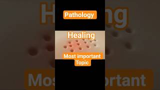 “Healing Explained in  Seconds | Regeneration vs Repair | Pathology Shorts 🩹✨”