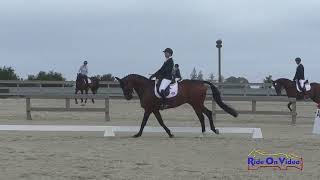 045D Amber Birtcil on New Gaillard AJK Open Preliminary Dressage Woodside May 2024