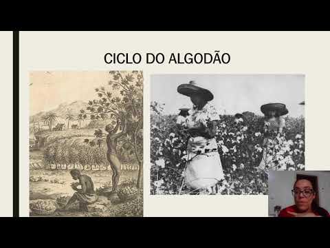 Vídeo: O Ciclo De Roupas Ou 