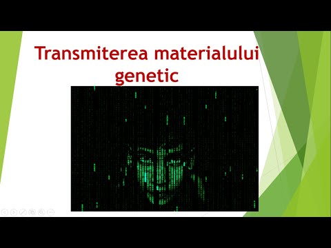 Video: Teama De Furtul Materialului Genetic - Vedere Alternativă