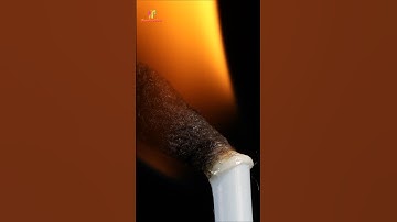 Cotton Bud burn 🔥 #macro