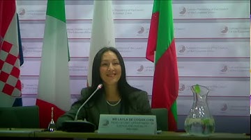 Panel Discussion I - Towards disability policies based on human rights model