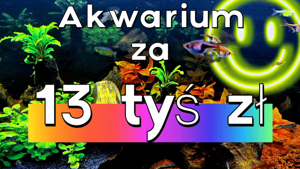 ILE KOSZTUJE ZAŁOŻENIE NOWEGO AKWARIUM? PEŁNE KOSZTY OD ZERA 06.03.2026 r. -