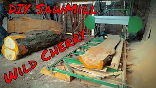 Sawing Wild Cherry and Oak in to Live Edge slabs