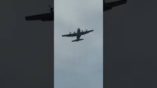 JMSDF  C-130 Hercules