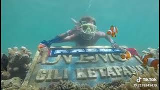 TikTok♪ Arema :)