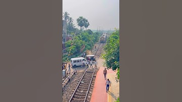 Emu Entering Railgate #shorts