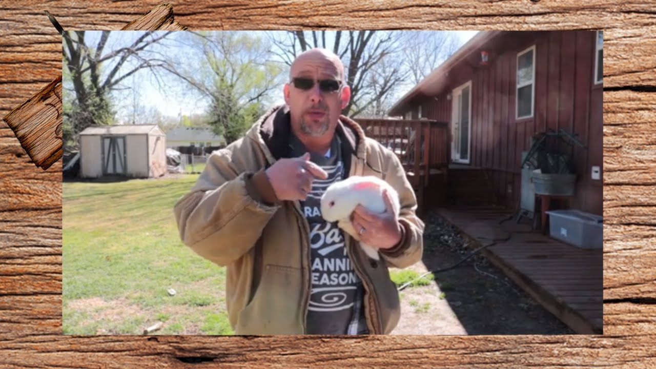 When and How to Wean Baby Rabbits YouTube