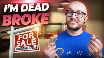 I Went DEAD BROKE Breeding Reptiles and You Might Too!