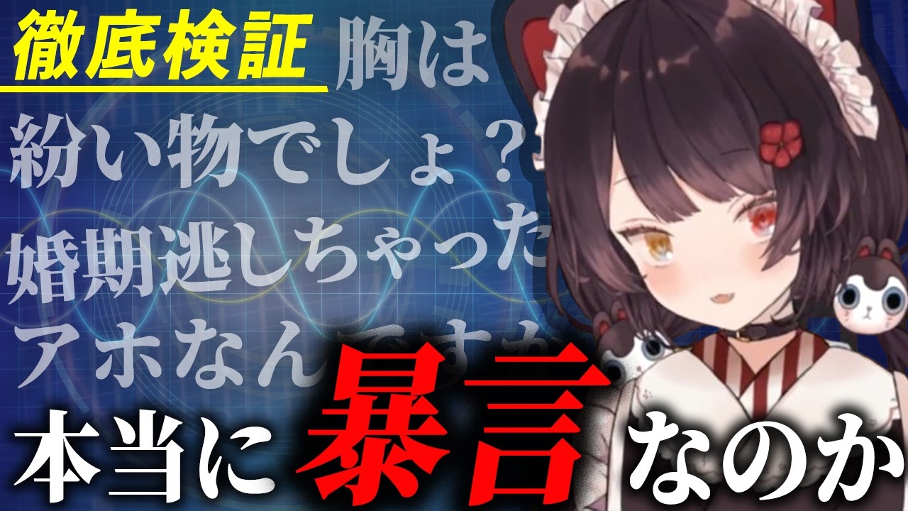 【徹底検証】戌亥とこは本当に暴言を吐いているのか【にじさんじ切り抜き／戌亥とこ】@niji_invest