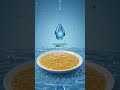 Why Soap Removes Grease but Water Cannot