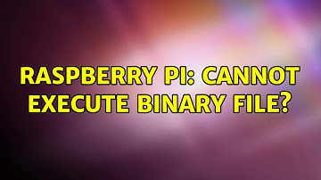 Raspberry Pi: Cannot execute binary file? (2 Solutions!!)