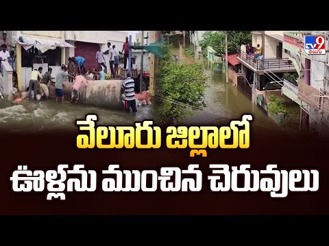 వేలూరు జిల్లాలో ఊళ్లను ముంచిన చెరువులు - TV9 - TV9
