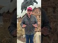 GONE #maga #rasner4wy #automobile #trump #wyoming