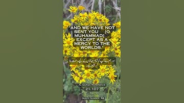 058 Quran Quotes In English Urdu Quran Kareem القرآن الكريم