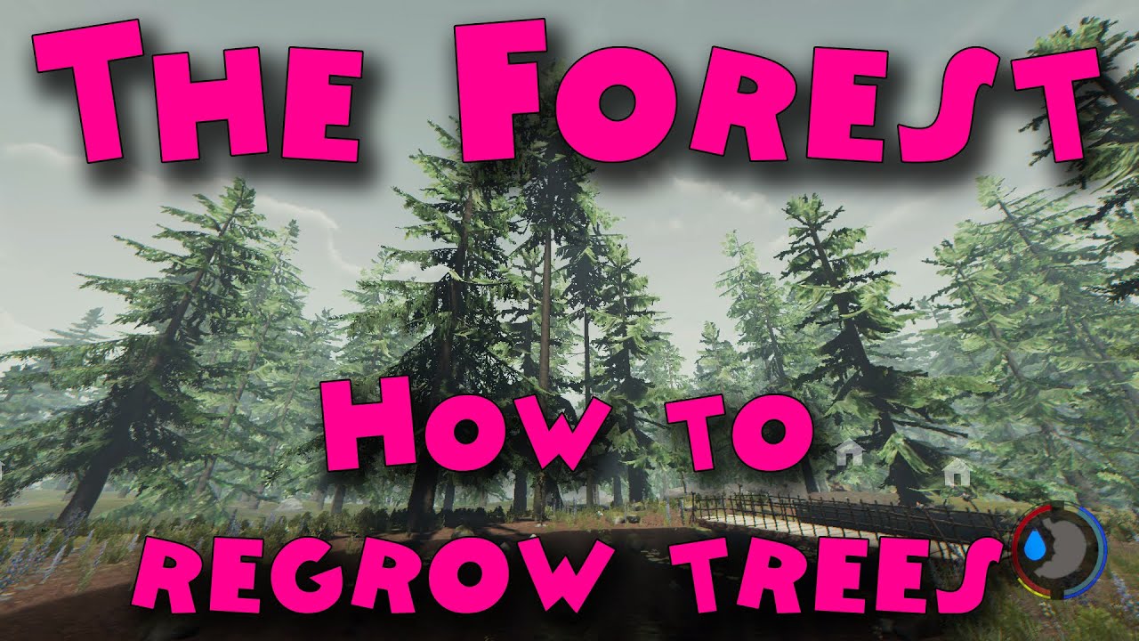 Sons of the Forest Tree Regrowth Cheat: What Console Command Makes Trees  Grow Back? - GameRevolution