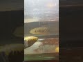chna maru yellow Sentarum #lewatberanda #funny #kolamchanna #youtubeshorts #fish