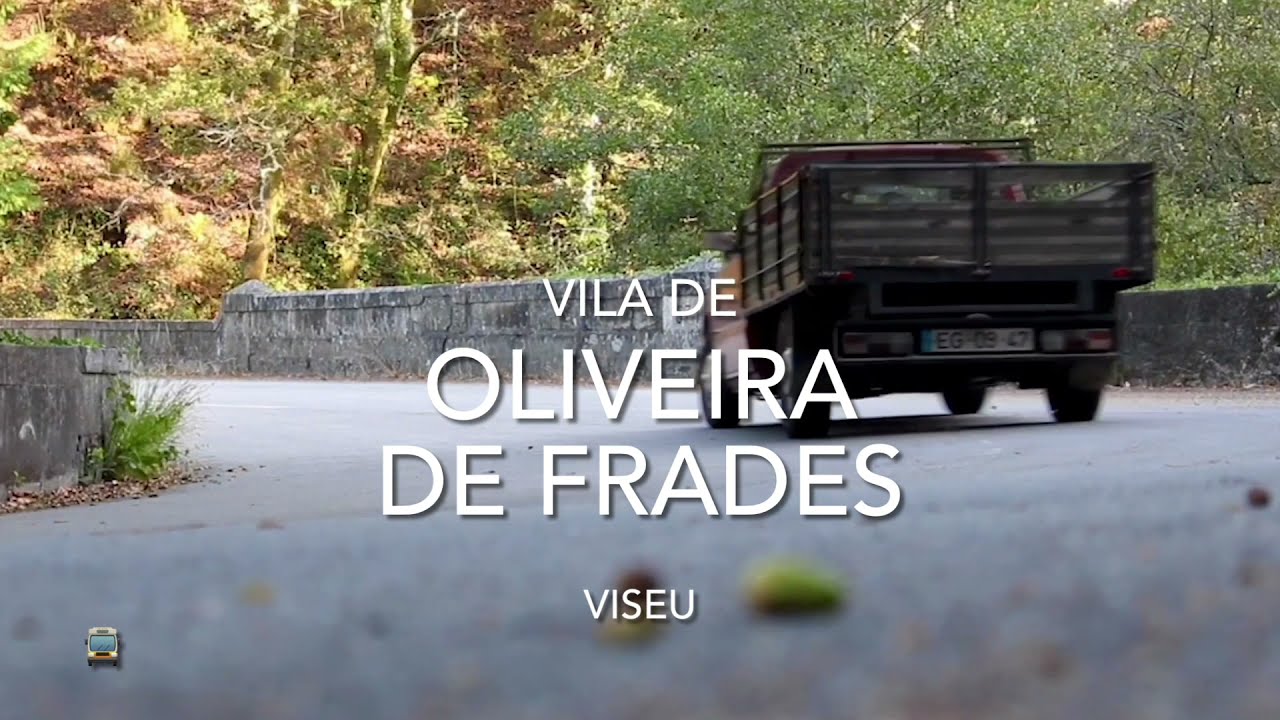 Vila de Oliveira de Frades - Viseu