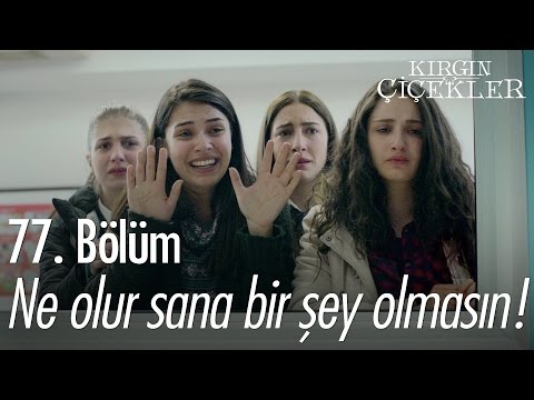 Ne olur sana bir şey olmasın! - Kırgın Çiçekler 77. Bölüm - atv