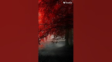 القرآن الكريم #فيديو #فلسطين #فلسطين_حره #الكيان_الصهيوني #القدس #القرآن #القران_الكريم