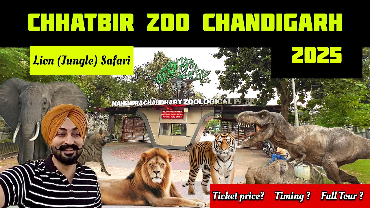 Chhatbir zoo in Chandigarh | Chhatbir zoo | Chhatbir zoo Ticket price | Lion Safari 