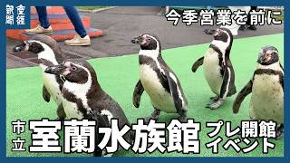 ペンギン行進が人気、市立室蘭水族館　2026年の営業開始を前にプレ開館イベント　道内最古のノスタルジックな水族館　北海道室蘭市