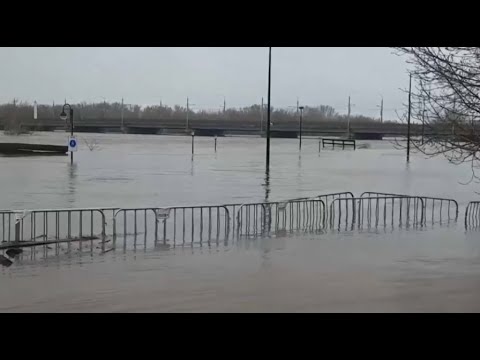 Жасөспірімдерге арналған секс бейнелері (1,5 минут)