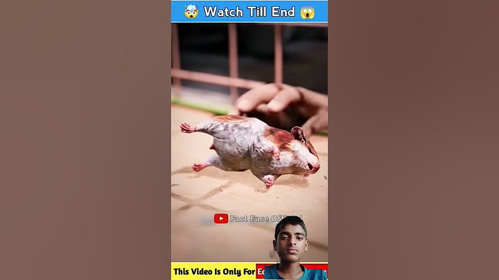 Why Your Hamster Might Not Be Dead#shorts#facts#shortsfeed#3danimation #harveybeaks