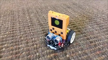 For Ivan, Maqueen bot car programmed with MakeCode Arcade,HulaHoop