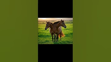 Realistic AI Photo Collections That Look Like Real Photography | AI image collection #ai